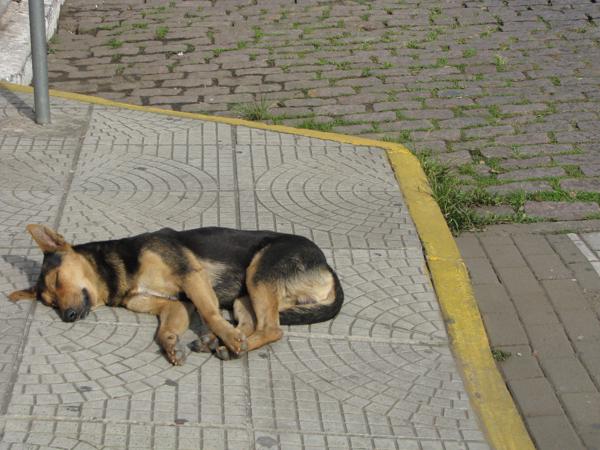 São Leopoldo (2009)